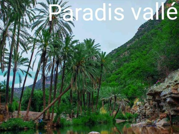 Residence Tafoult Imiouadar Pres De Taghazout Agadir Agadir n'Ait Sa Εξωτερικό φωτογραφία